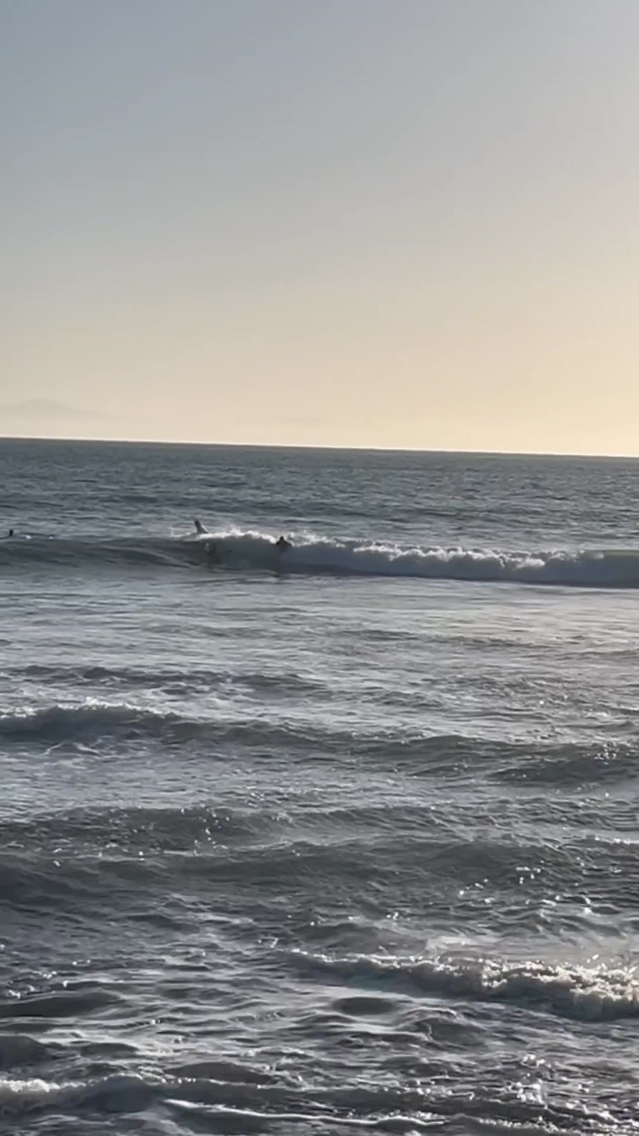 Kai Bender surfing