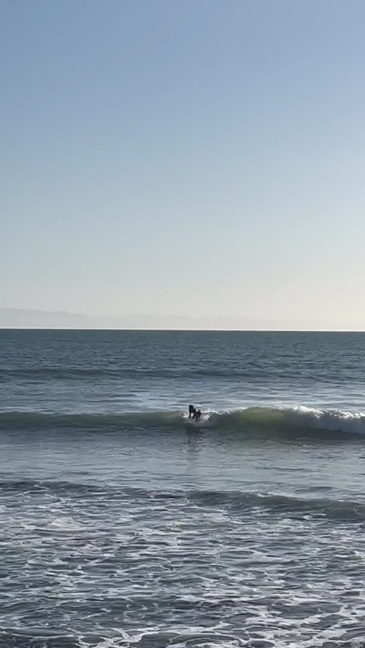 Zael surfing