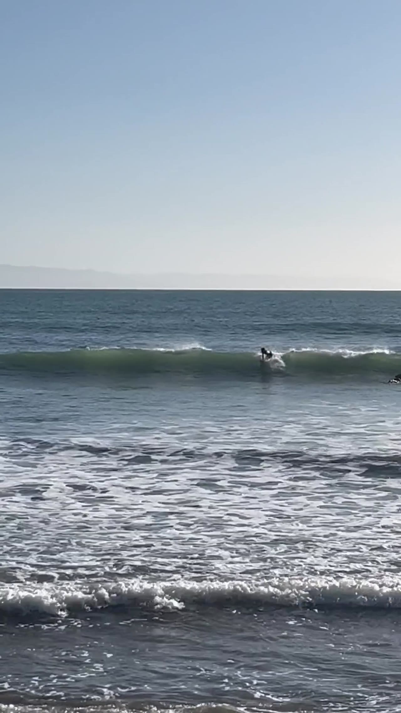 Zael surfing