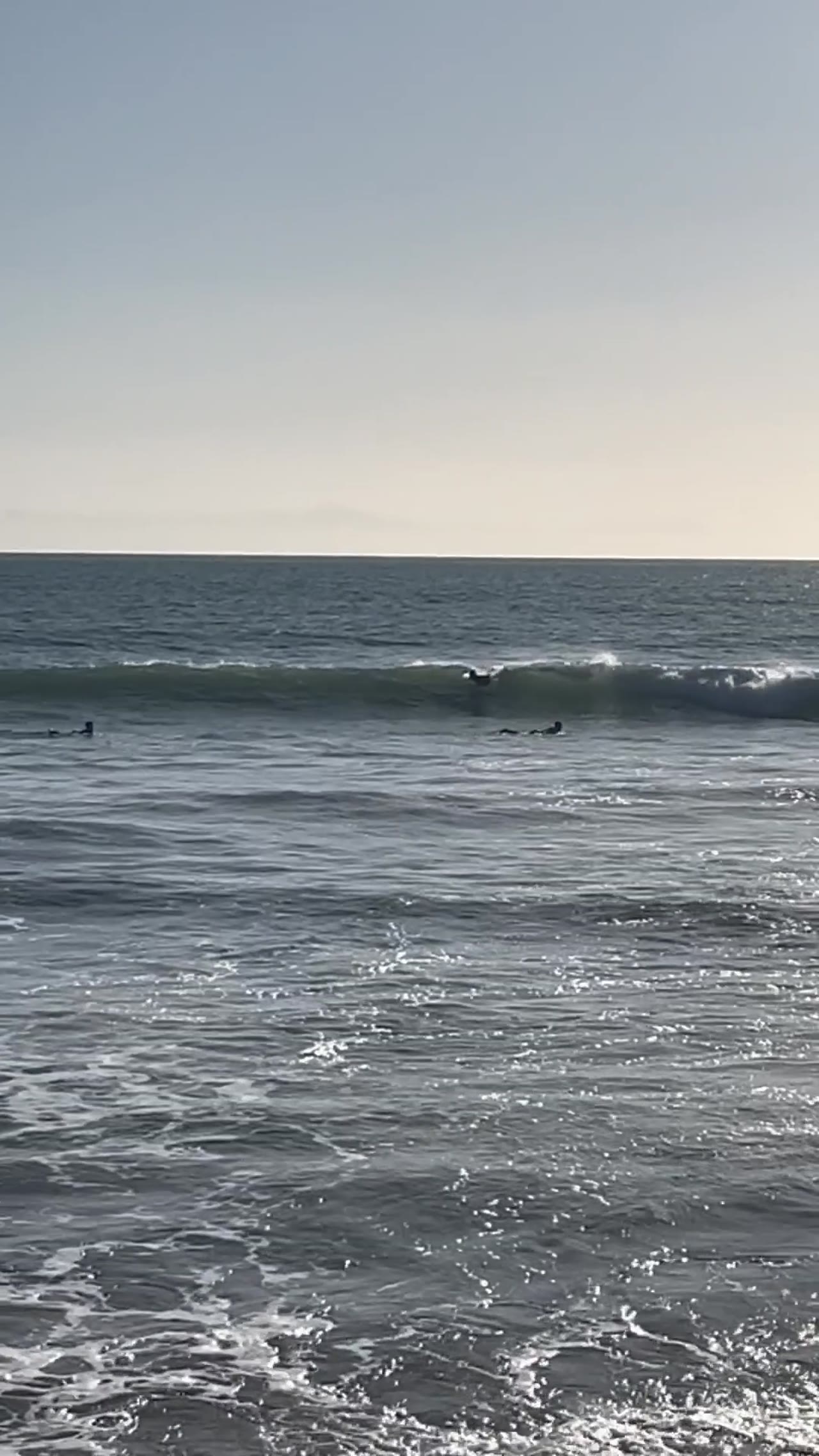 Kai Bender surfing
