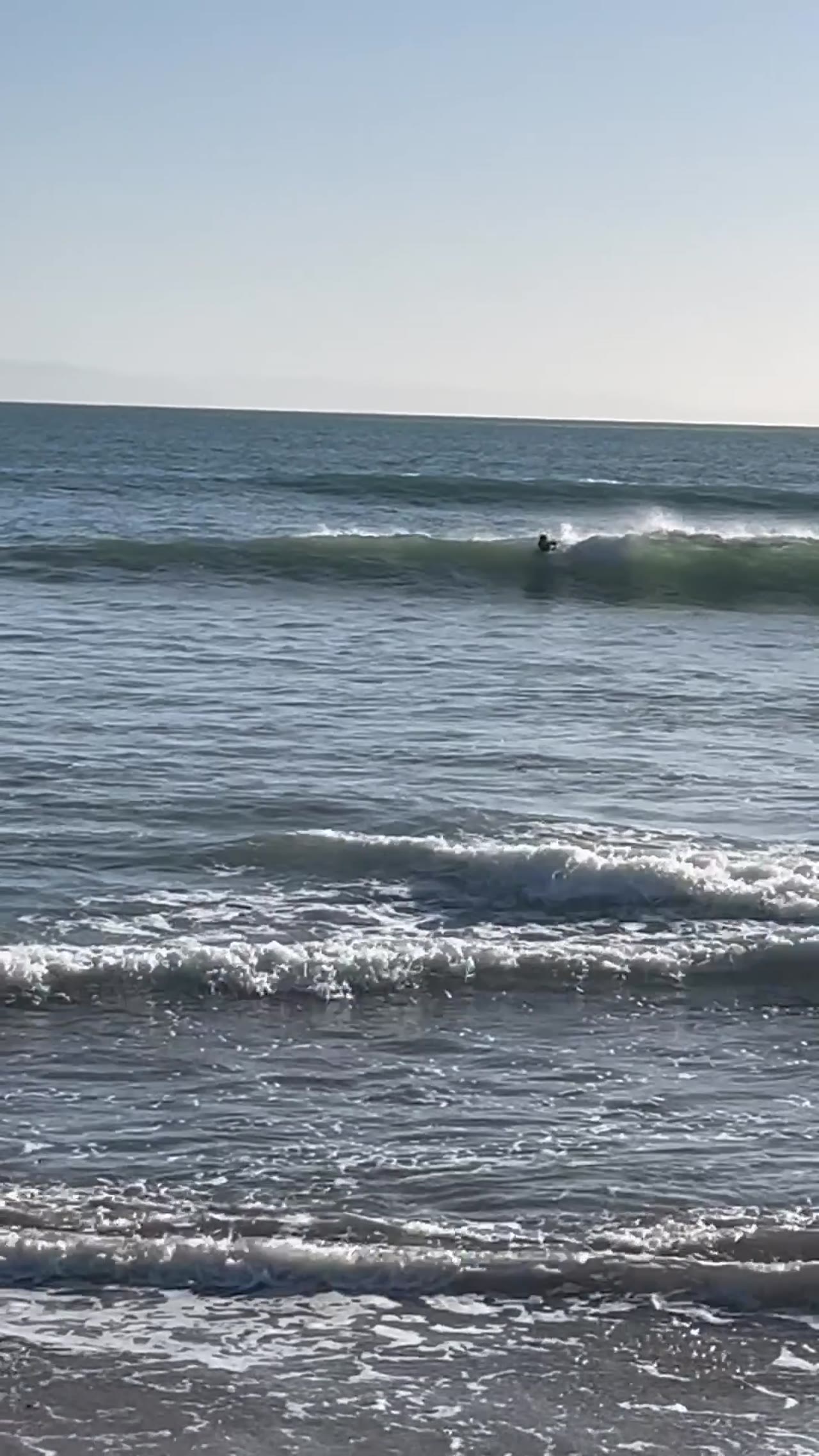 Zael surfing