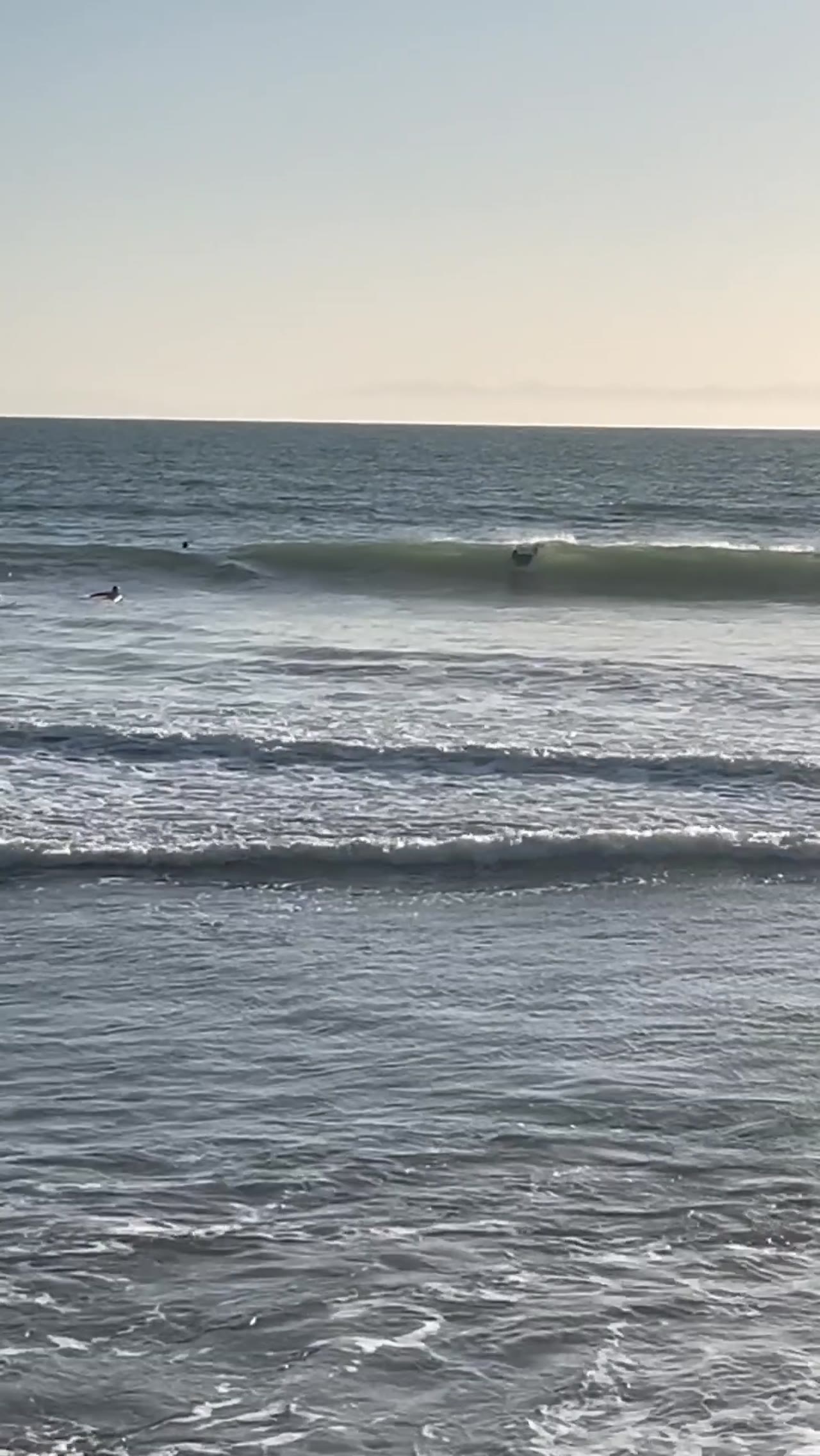 Kai Bender surfing