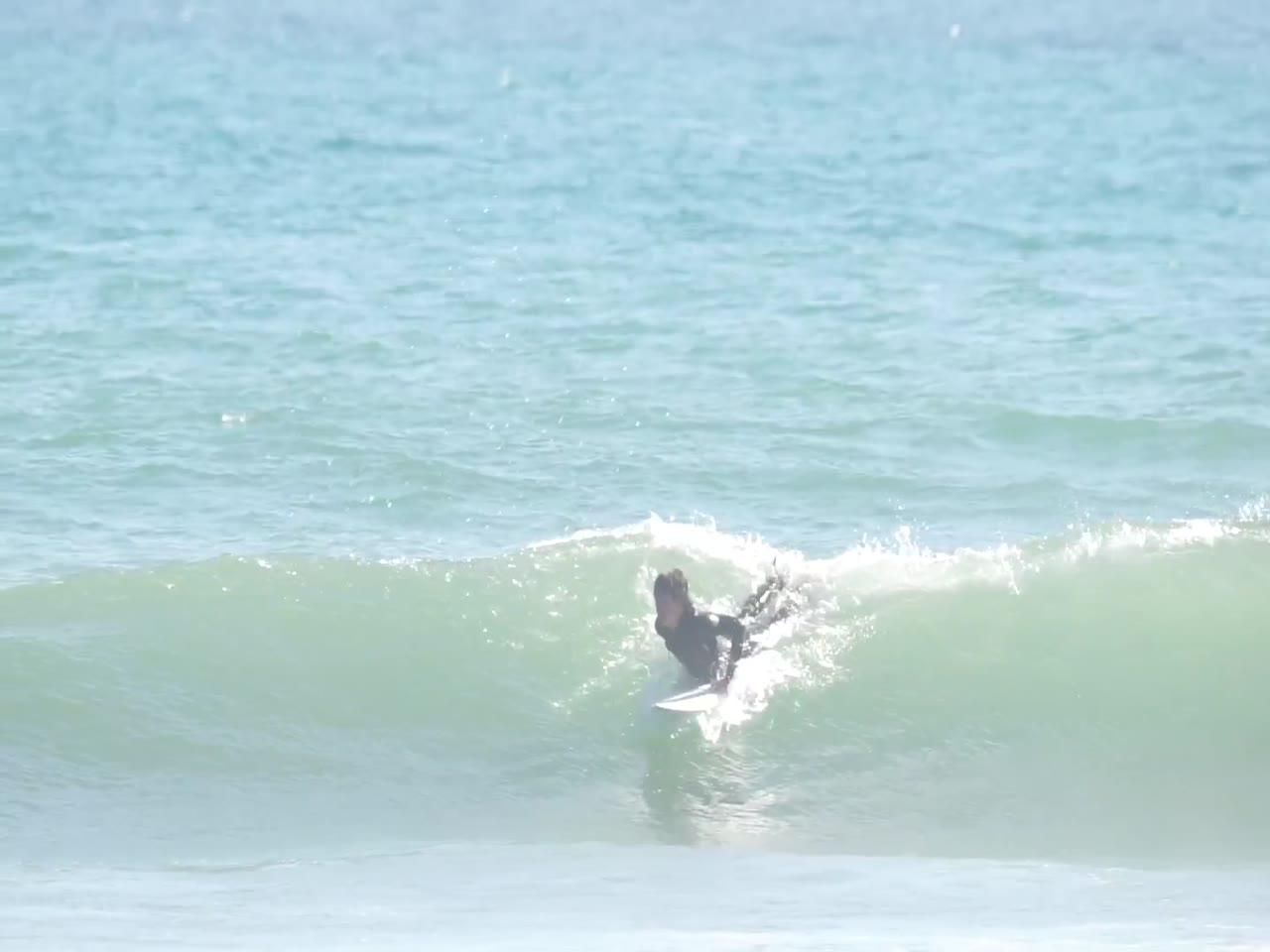 Micco surfing