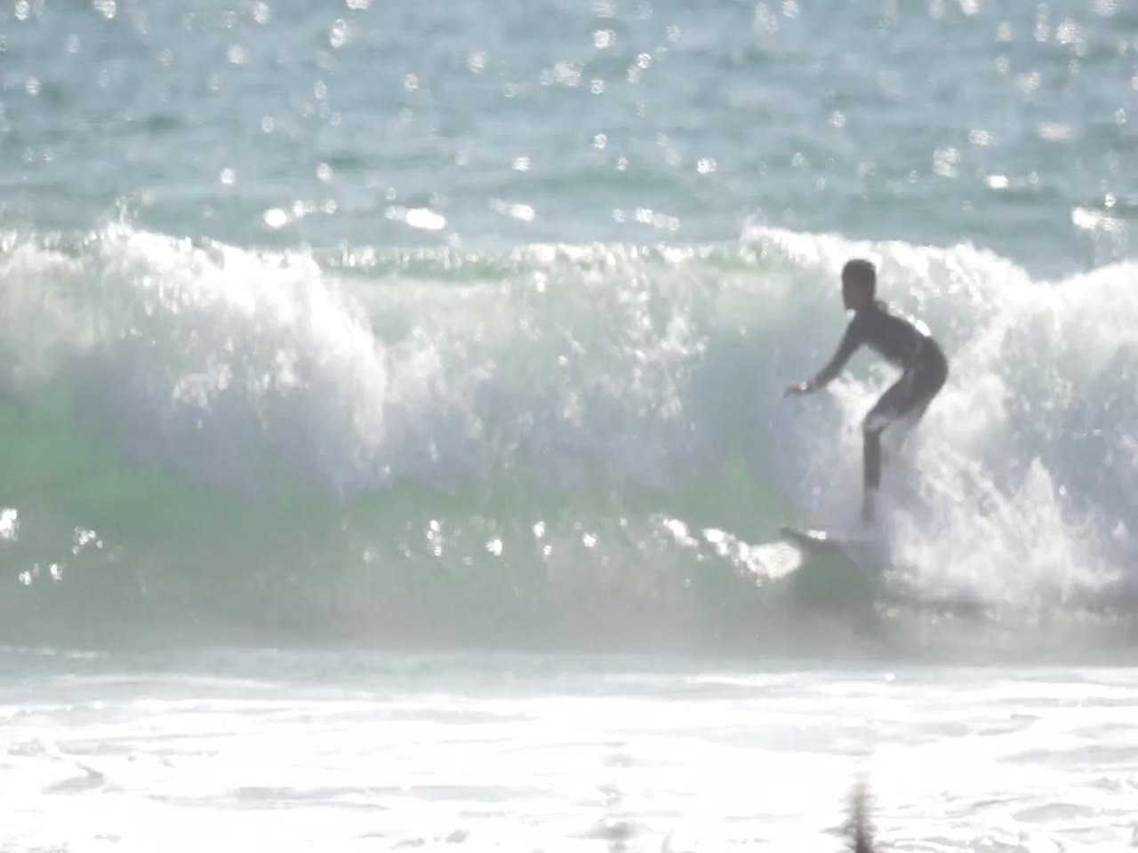 Micco surfing