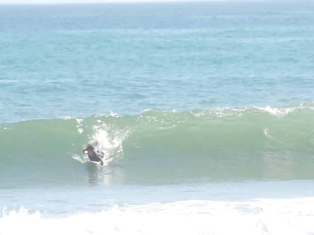 Blue surfing